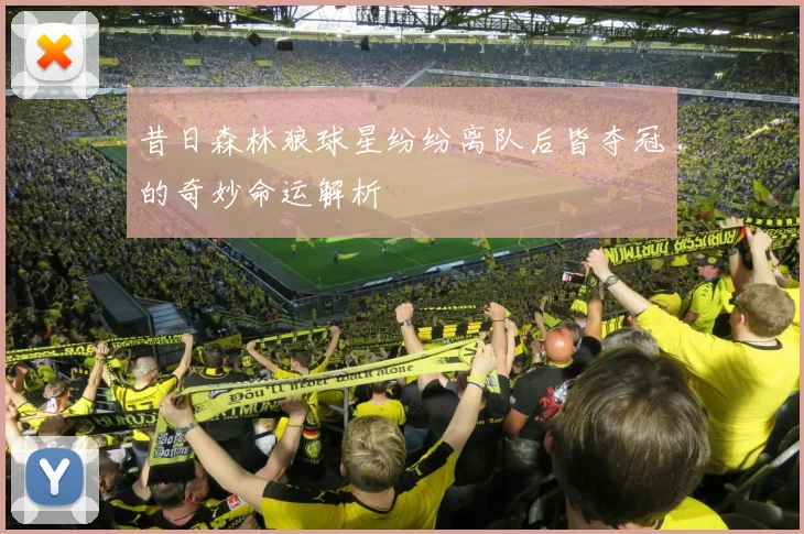 昔日森林狼球星纷纷离队后皆夺冠的奇妙命运解析