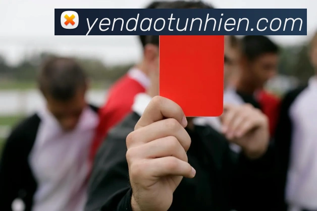 开云app网站APP 高清赛事图